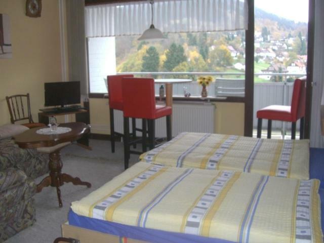 Apartment Ferien Penthouse Panoramablick Oder Studio Panoramablick Bad Grund