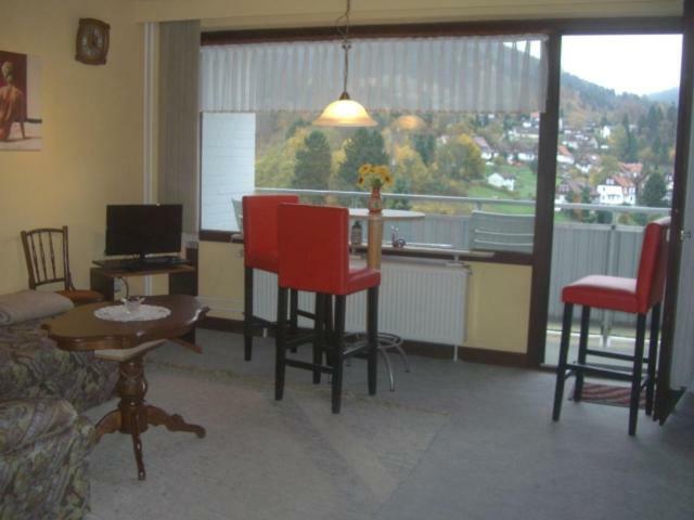 Apartment Ferien Penthouse Panoramablick Oder Studio Panoramablick Bad Grund