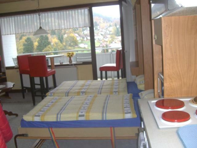 Ferien Penthouse Panoramablick Oder Studio Panoramablick Apartment Bad Grund